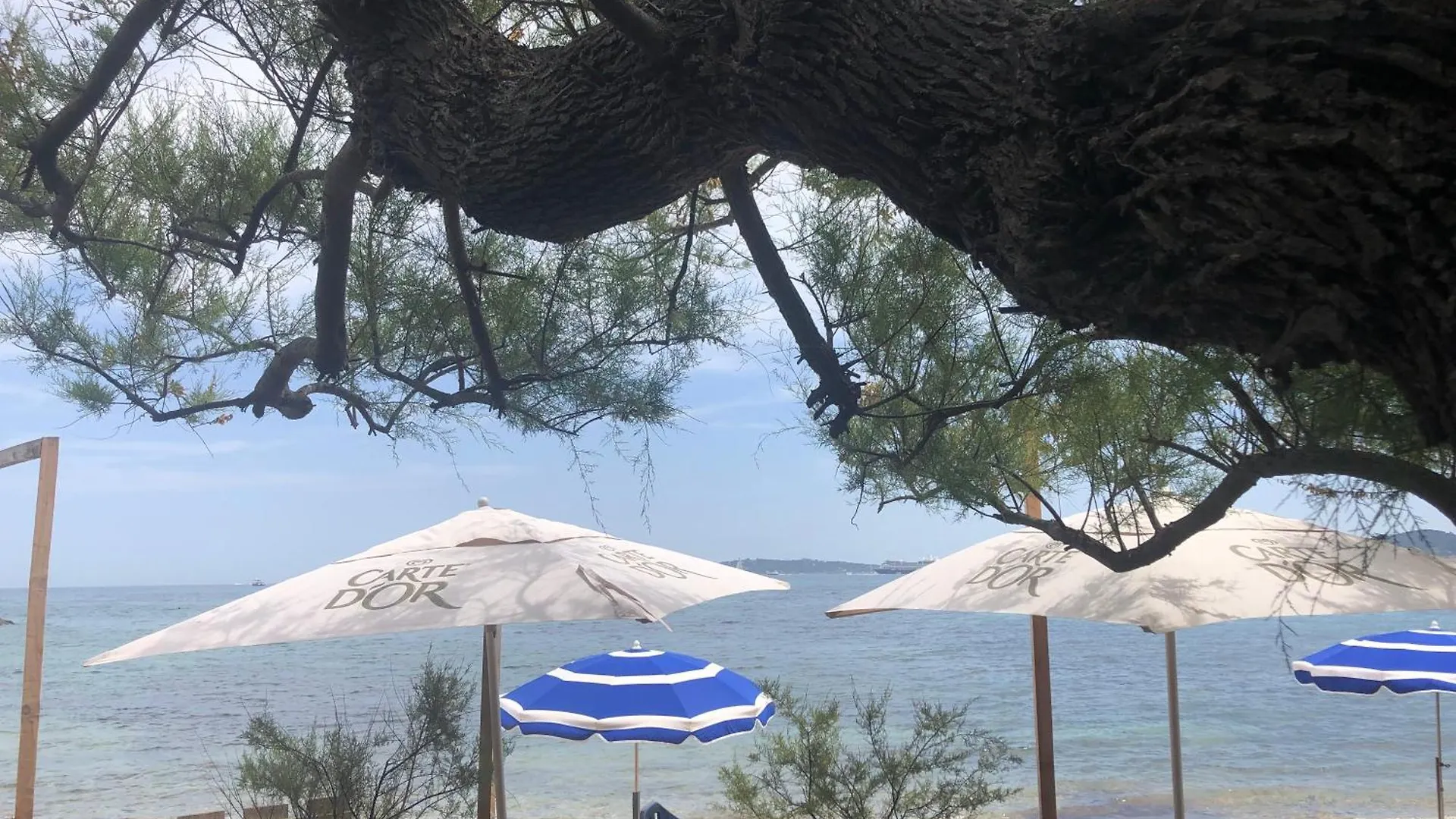 Chez Skadi Amazing Sea View Apartment Roquebrune-sur-Argens